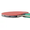 Joola Rosskopf Smash pingpong ütő 2db labdával - Spartan