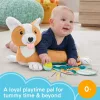 Fisher-Price Corgie Puppy Nőj velem pocakpárna csörgővel rágókával és tükörrel - Mattel
