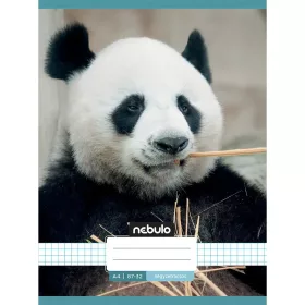 Nebulo: Tűzött kockás panda mintás füzet 87-32 A/4