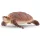 Schleich Hawskbill tengeri teknős figura 14876
