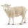 Schleich: Juh figura (13882)