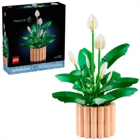 LEGO Botanicals Vitorlavirág 11504