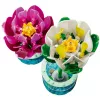 LEGO® Botanicals Tündérrózsák (11511)